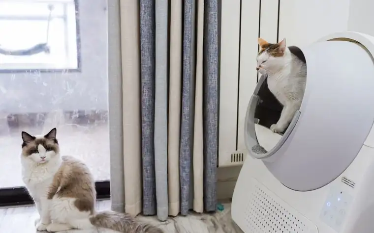 A cat sitting near an automated litter box at home