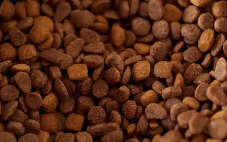 Close-up of dry kibble pieces in brown tones