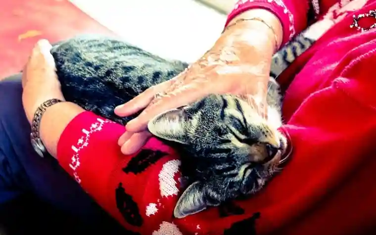 An elderly woman holding a relaxed tabby cat on her lap