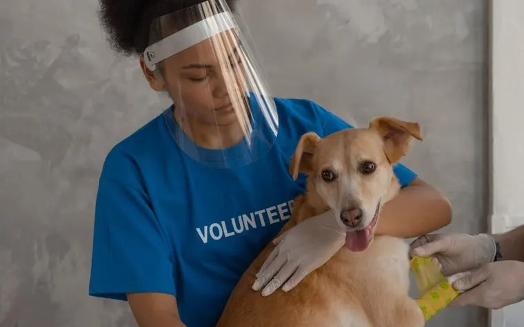 A shelter volunteer wearing protective gear comforting a rescued dog