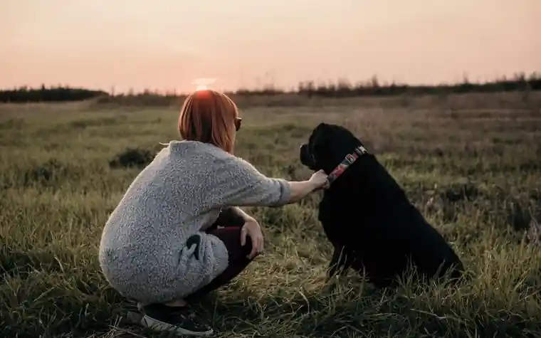 A woman crouching to pet a dog outdoors at sunset