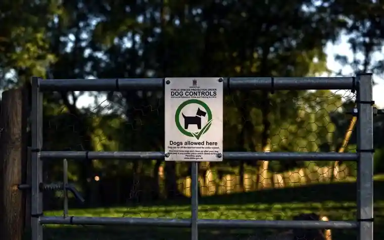 Metal gate in a park with a green dog controls sign showing a dog silhouette and the words dogs allowed here
