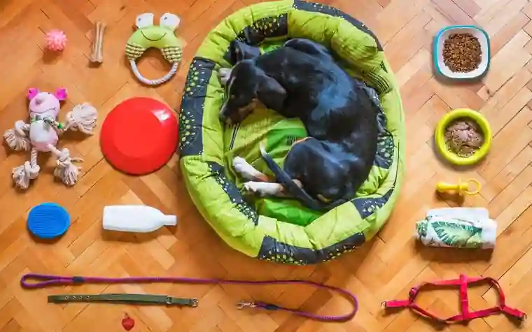 A dog resting in a pet bed surrounded by bowls, toys and leashes