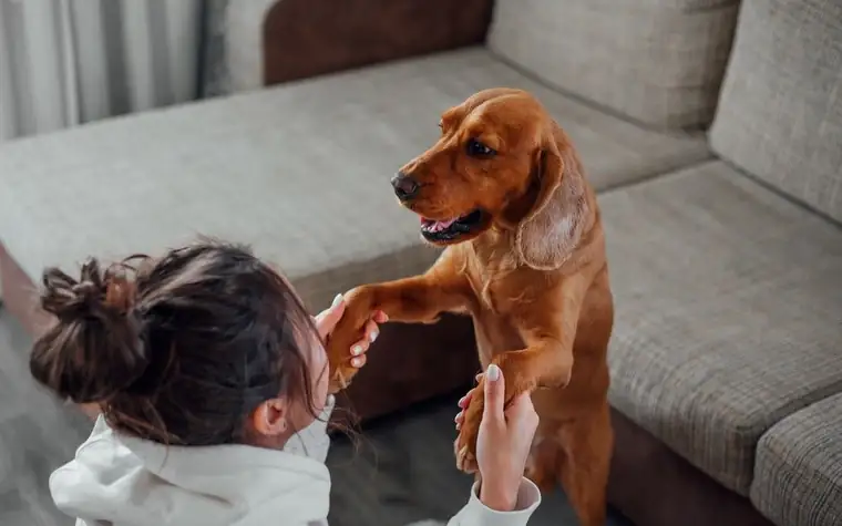 A woman sitting on a sofa with her dog beside her