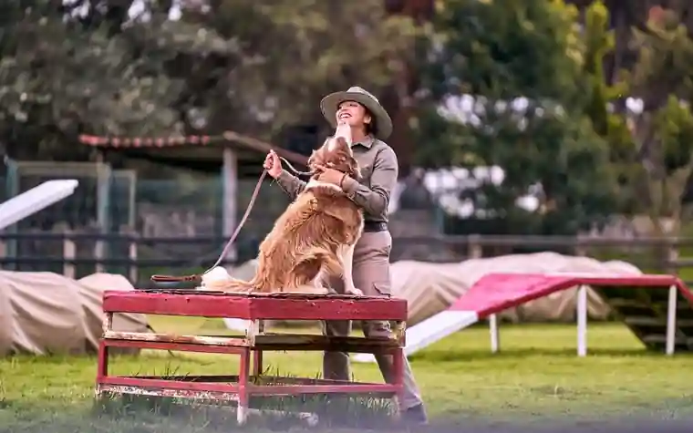 A woman and a dog on a raised pause table at an outdoor agility course