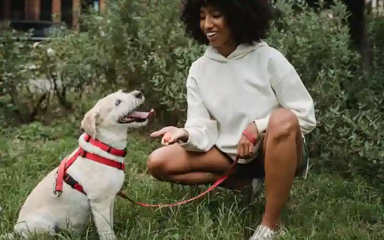 A person crouching beside a dog on a leash on grass during a training session