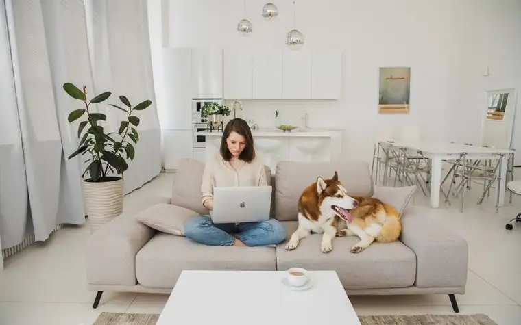 Woman working on a laptop at home with a Siberian husky resting beside her