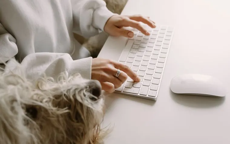 Person typing at a keyboard with a fluffy dog resting nearby on the desk