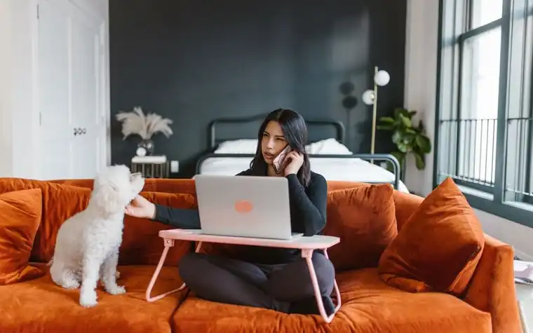 Dog resting on a couch while owner works on a laptop nearby