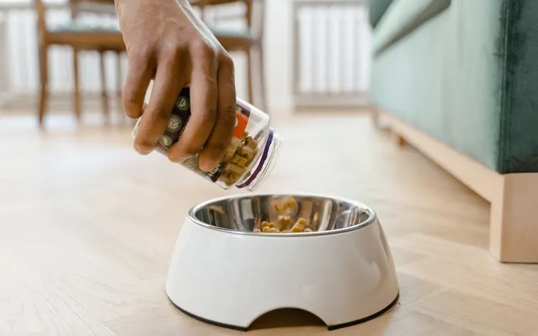 Close-up of a hand pouring dog food from a container into a bowl