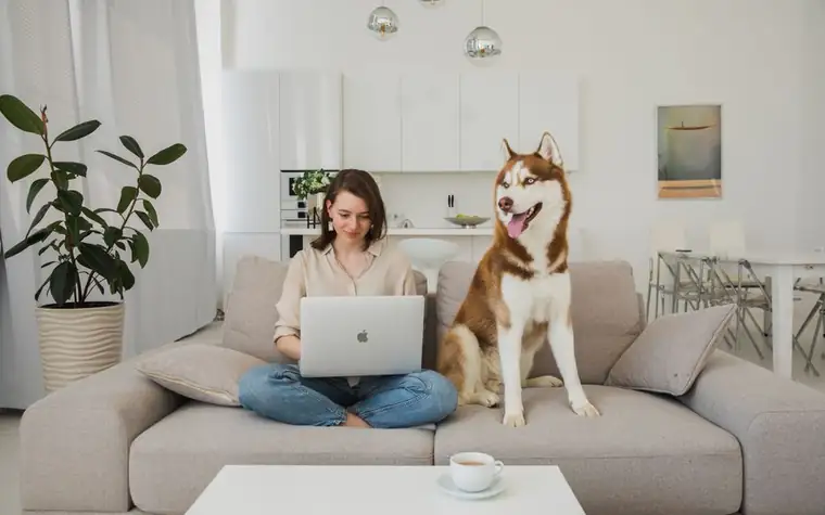 A woman working on a laptop on a sofa beside her husky