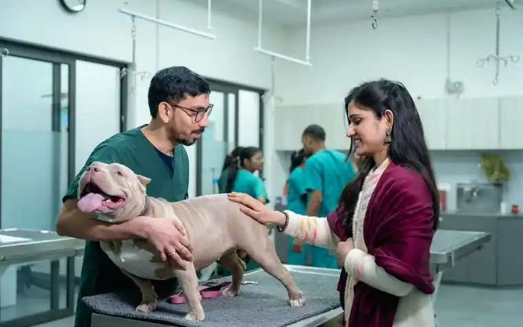 A veterinarian examining a dog on a clinic table with the owner present