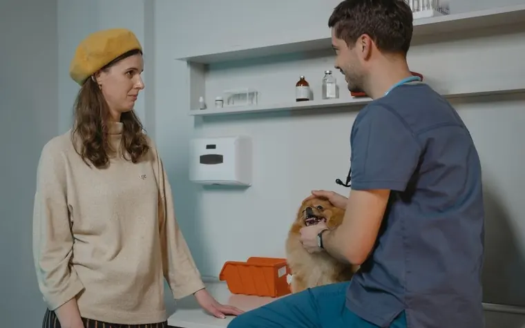 A dog owner talking with a veterinarian holding a small dog at a clinic counter