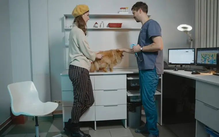 A woman and a veterinarian discussing care for a Pomeranian dog in an exam room