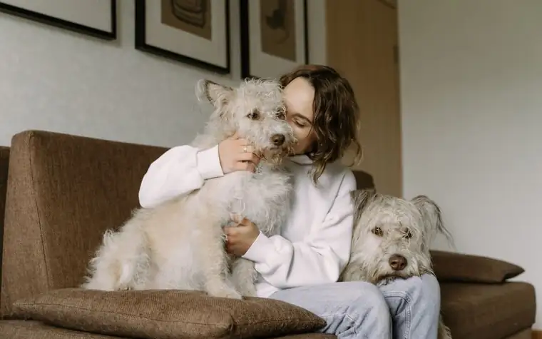 A woman on a brown sofa hugging two fluffy white dogs