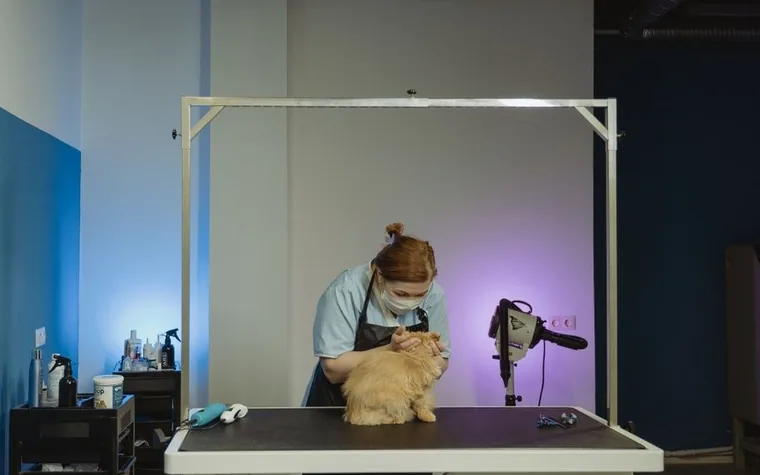A cat carrier and veterinary paperwork on an exam room table