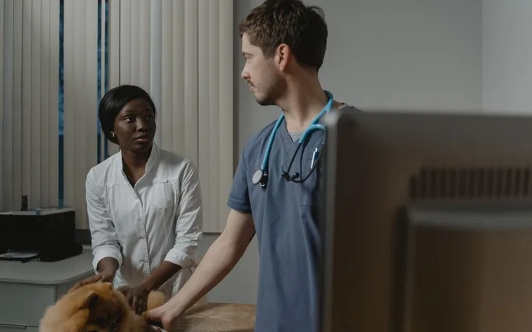 Two veterinarians attentively examining a dog during a clinic visit