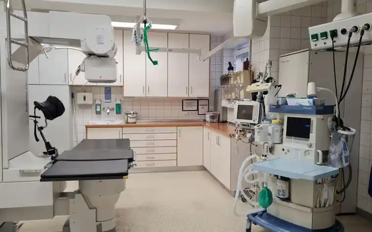 An empty, fully equipped veterinary operating room