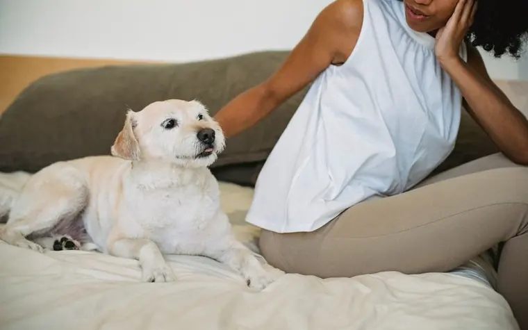 Woman sitting on a bed beside a white dog with her hand on her cheek