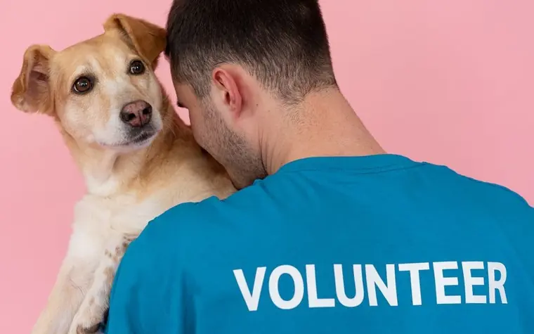 Man in a blue volunteer shirt holding a tan and white dog against a pink background