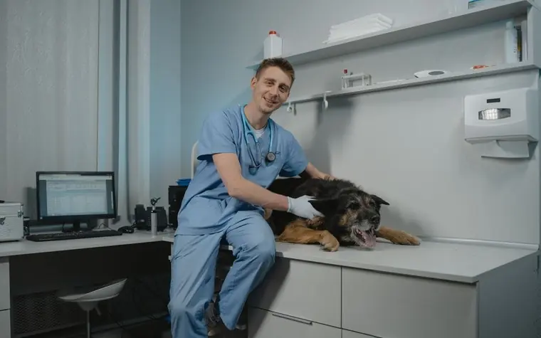 A dog lying on an examination table beside a veterinarian in scrubs