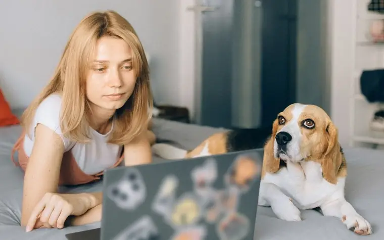 A girl at a laptop with a beagle lying beside her