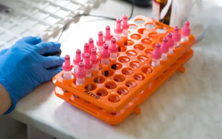Gloved hands holding an orange rack of sample tubes on a laboratory bench