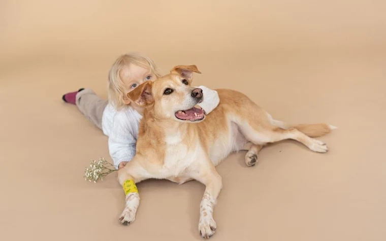 A child hugging a golden dog with a yellow bandage on its leg