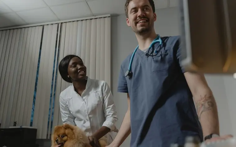 A veterinary team member holding a small dog while the owner stands nearby