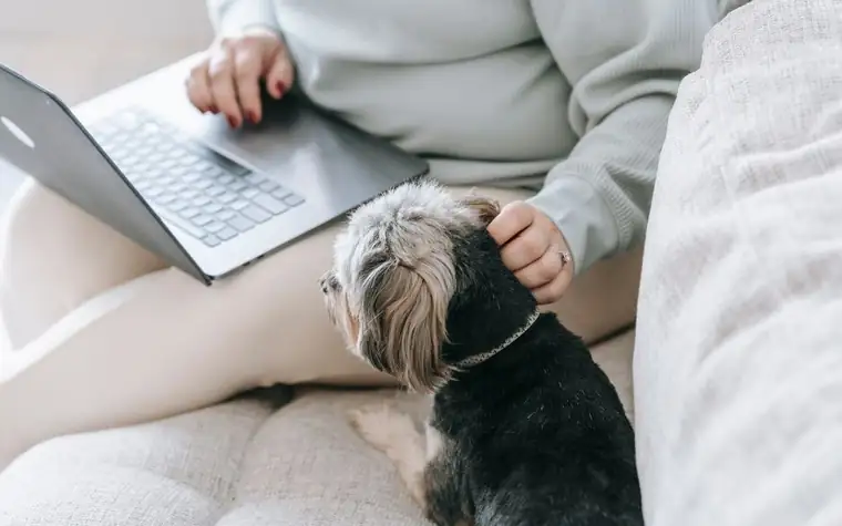 A person working on a laptop with a small dog resting beside them