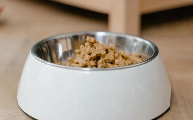 A stainless steel bowl filled with dry dog food on a wooden floor